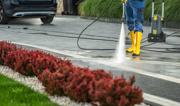 Roof Power Washing Services in Mansfield, PA