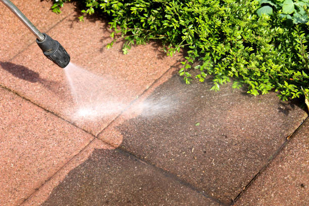 Deck Cleaning Services in Mansfield, PA